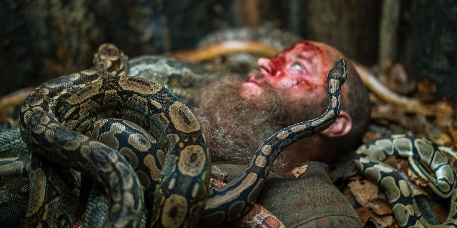 Ragnar covered in snakes whieol dying in Vikings 