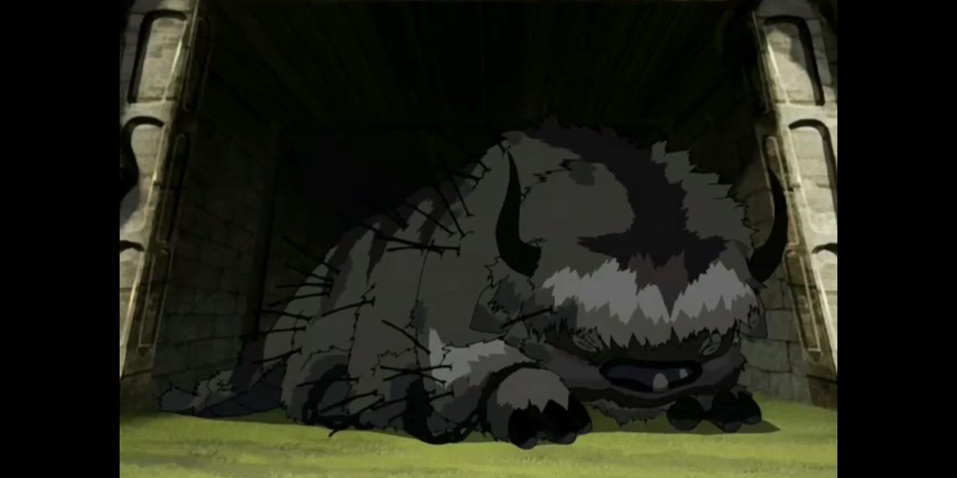 Appa has Boar-Q-Pine quills all over him in Avatar: The Last Airbender