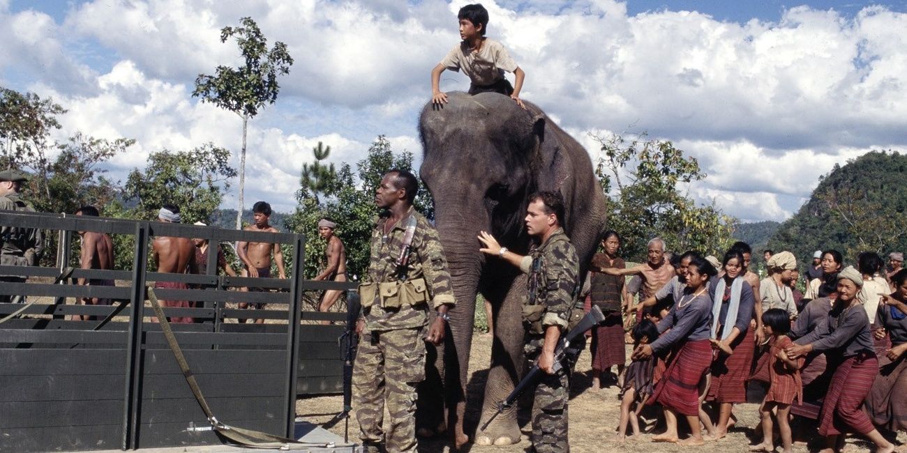elephant-vietnam