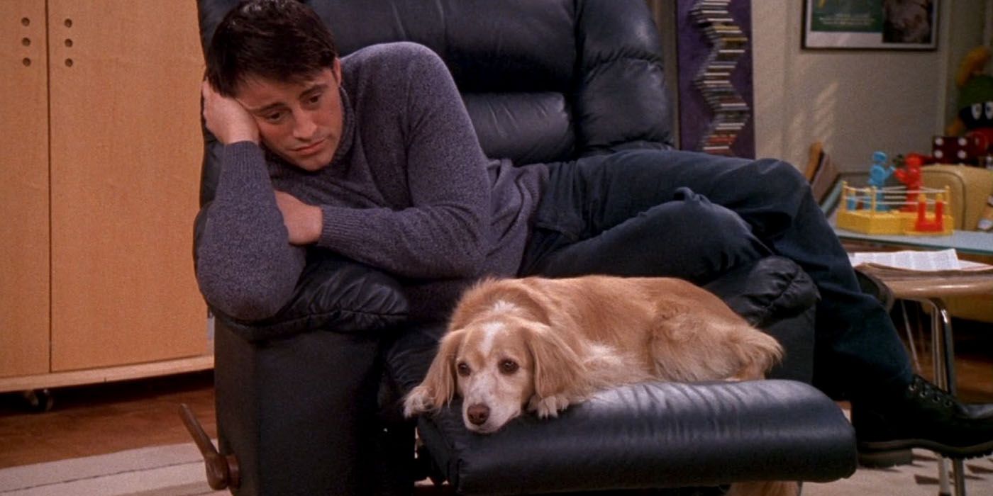 A sad Joey talks to a dog