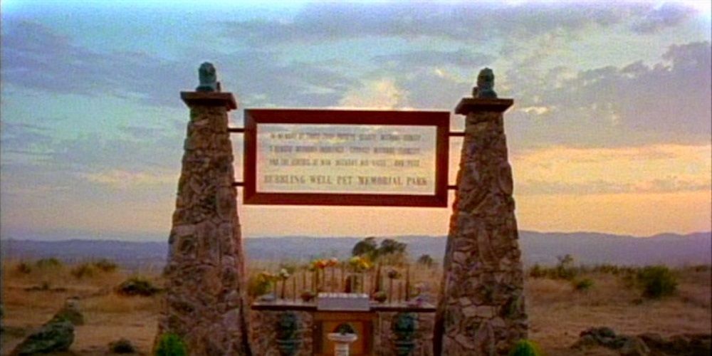 14 Existential Documentaries To Watch If You Like Netflix's Surviving Death