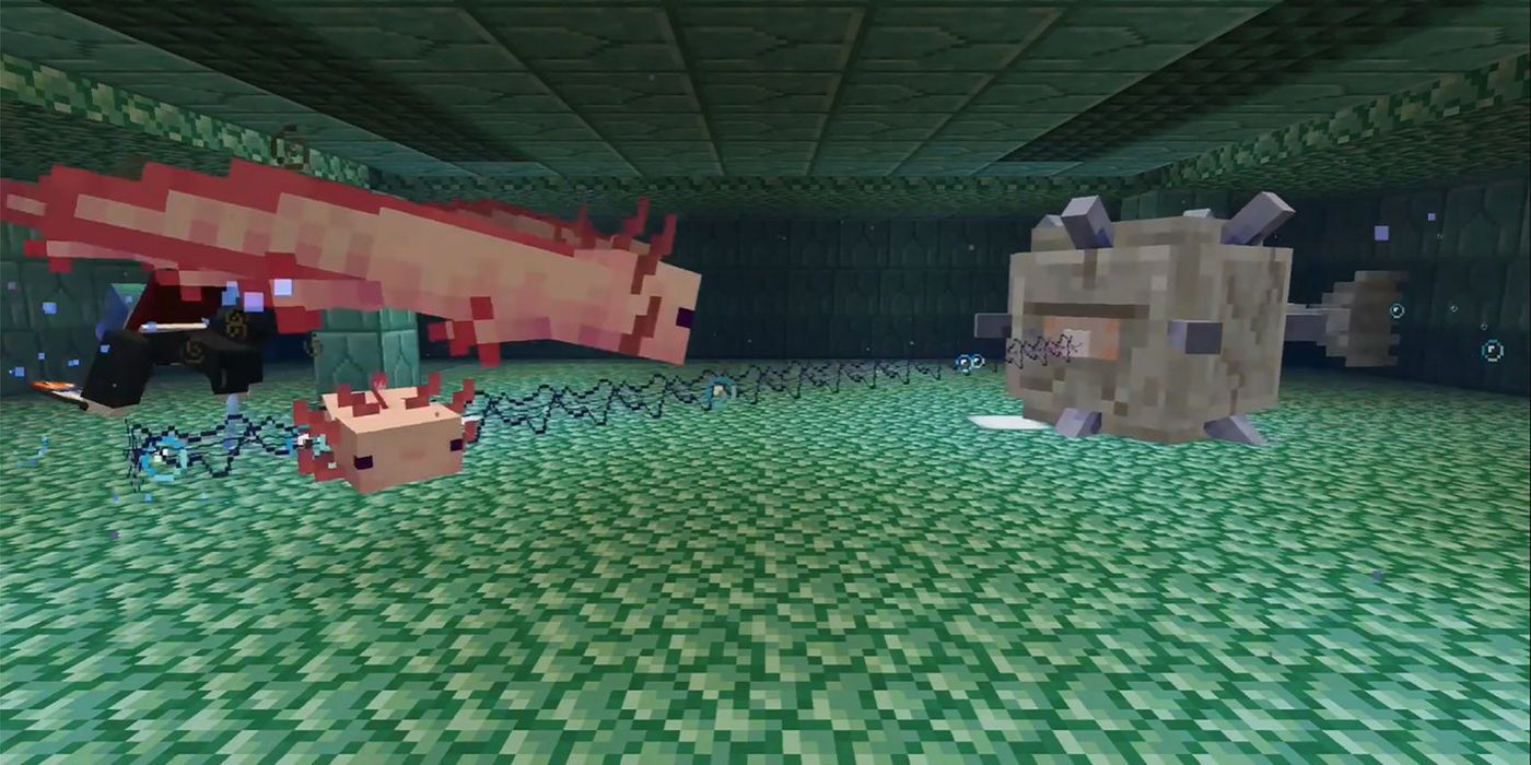 minecraft axolotl fighting guardian