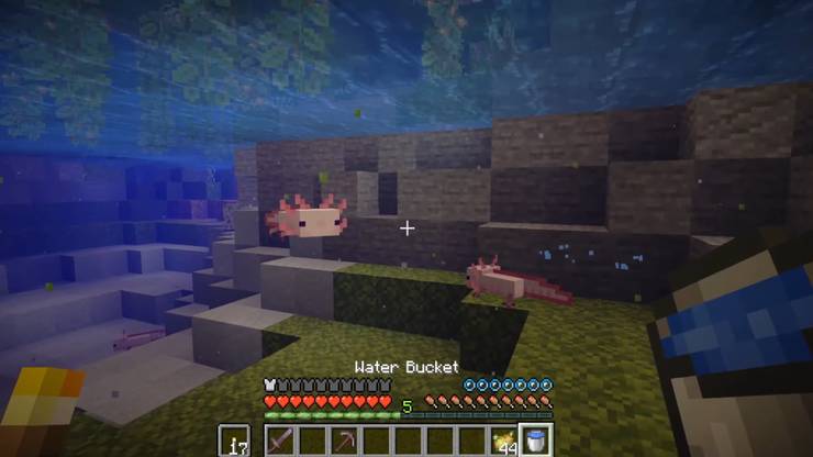 Where To Find New Axolotls In Minecraft What They Re For Where To Find New Axolotls In Minecraft What They Re For