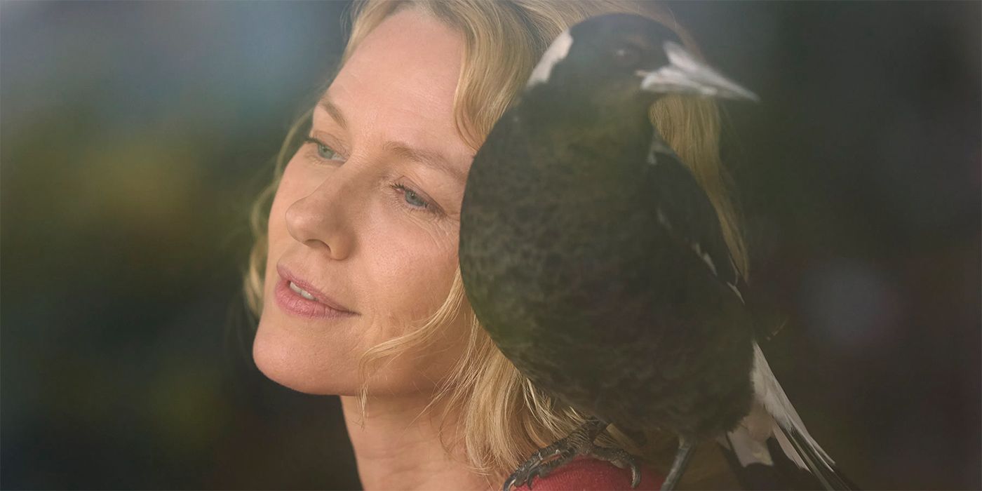 penguin bloom - naomi watts