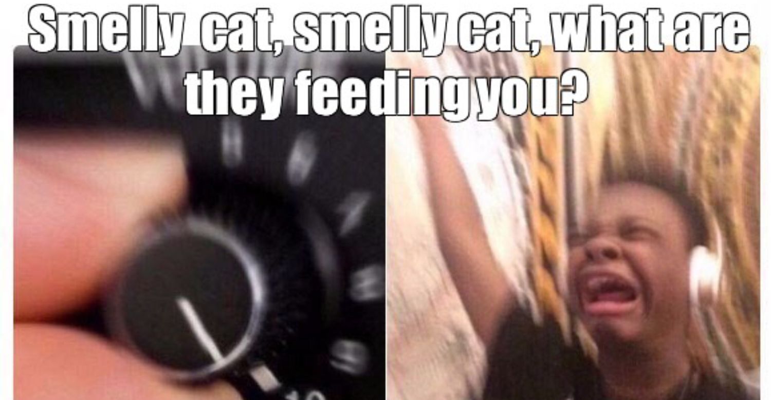 Friends 10 Best Smelly Cat Memes