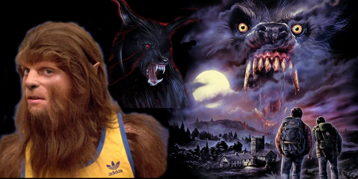 werewolves in the eighties section header