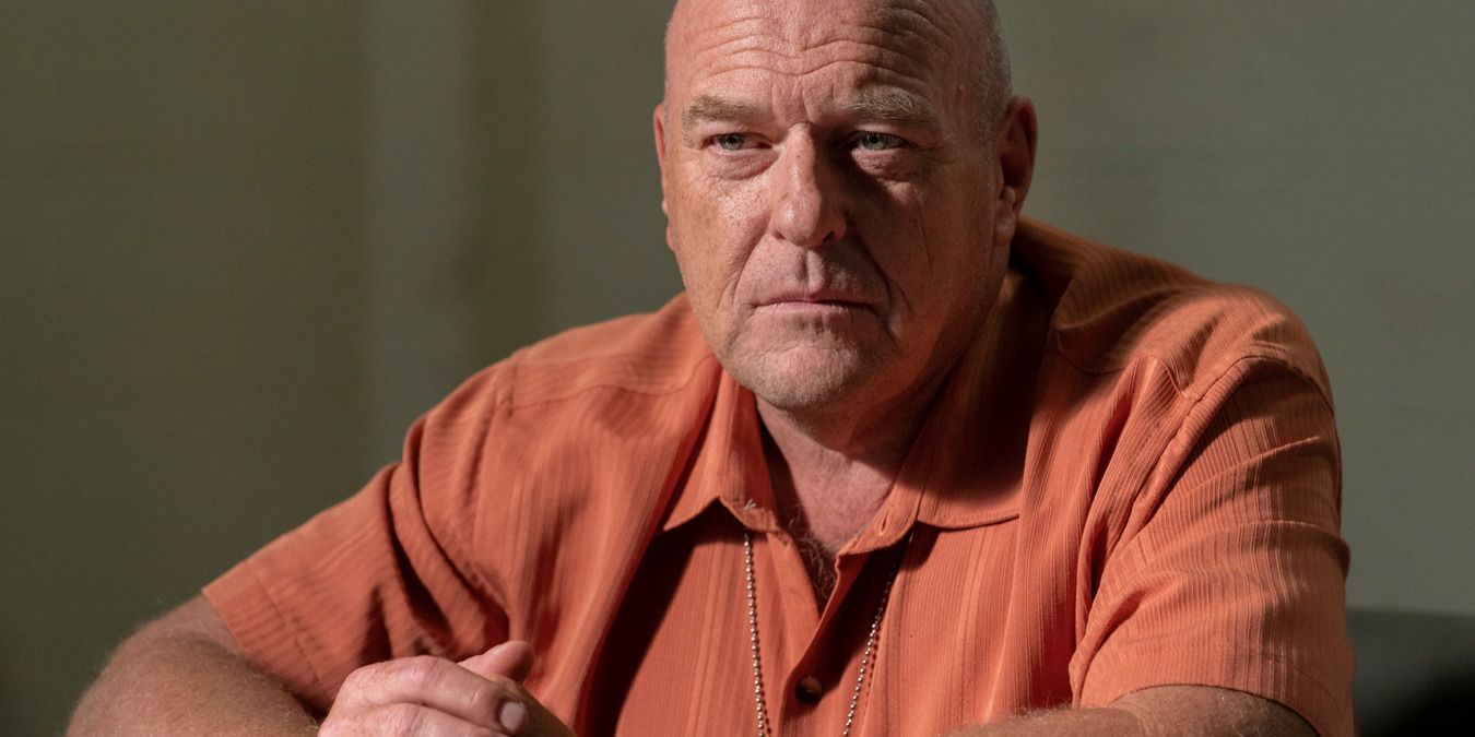 Breaking Bad Characters Ranked Least To Most Likely To Win The Hunger Games