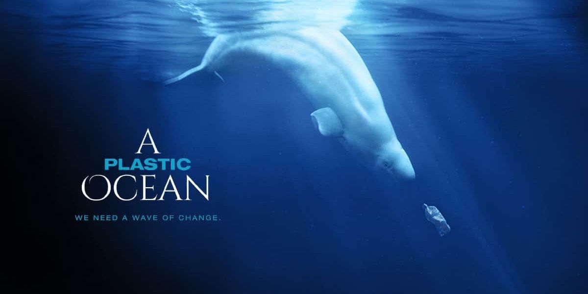Underwater scene with beluga whale and plastic bottle in title screen of A Plastic Ocean