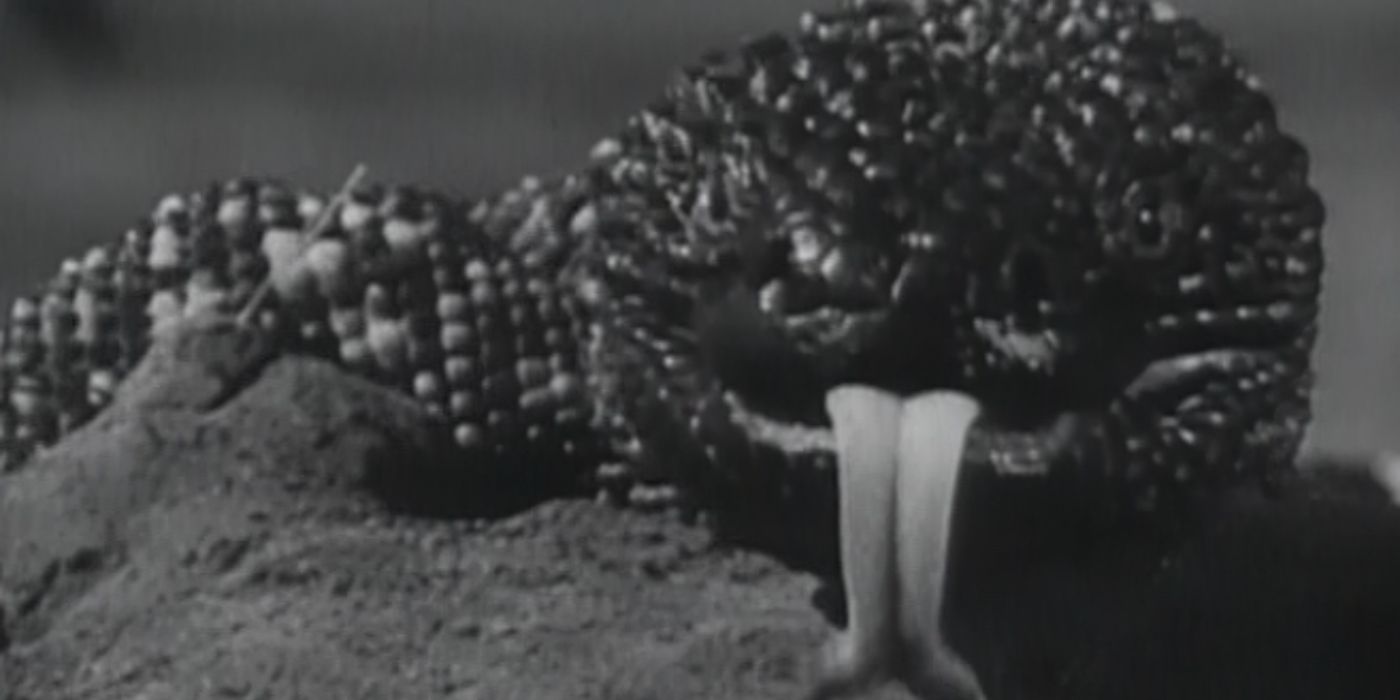 A still from The Giant Gila Monster 