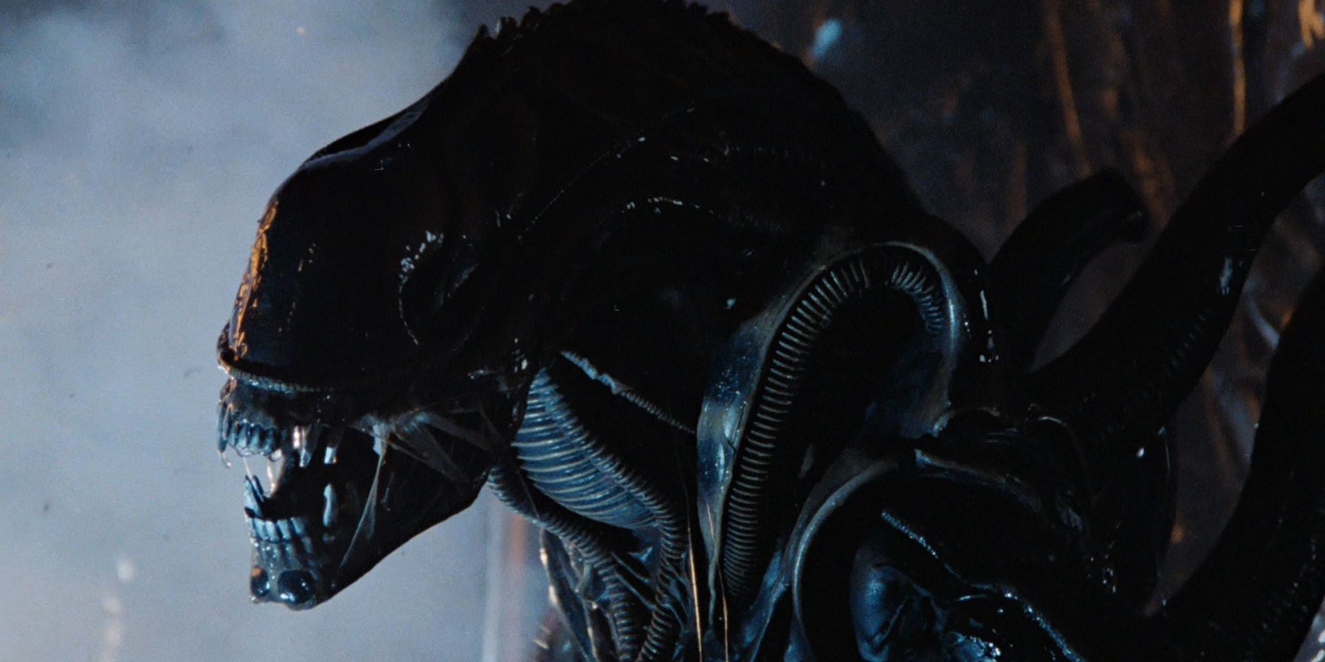 The Xenomorph opens its mouth in Alien (1979)