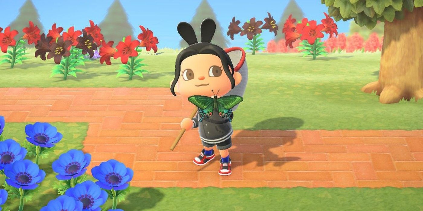 Animal Crossing Every New Bug Coming in March