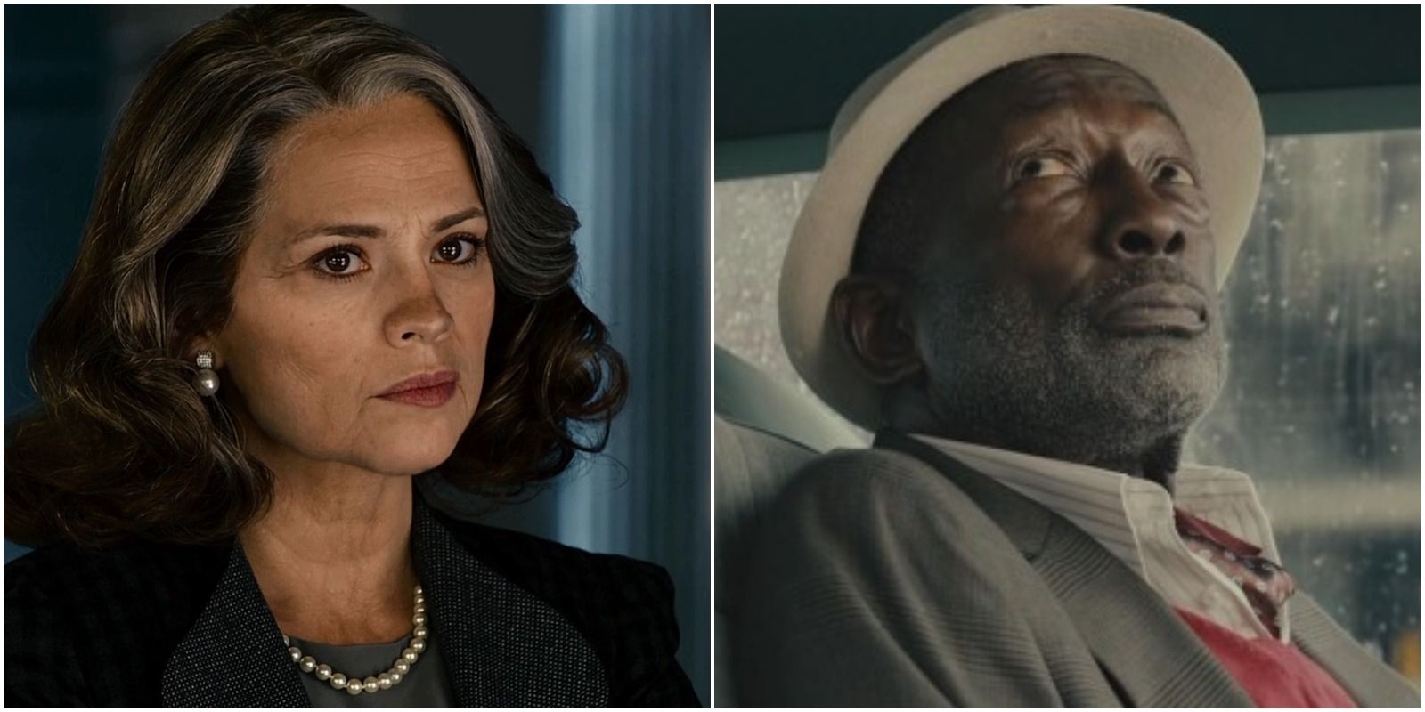 MCU 10 Actors You Forgot Were In The AntMan Movies