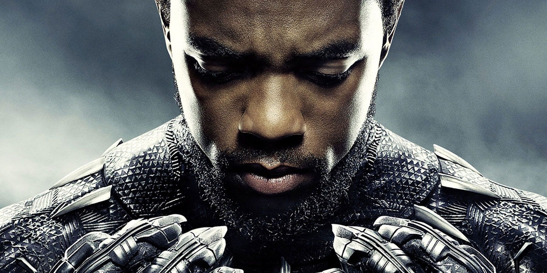 Black Panther looking down.