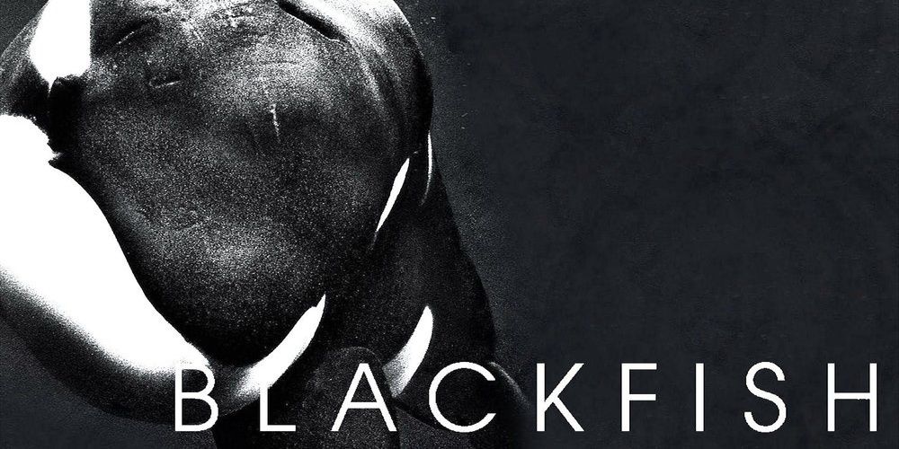 Title screen of Blackfish with text and orca whale
