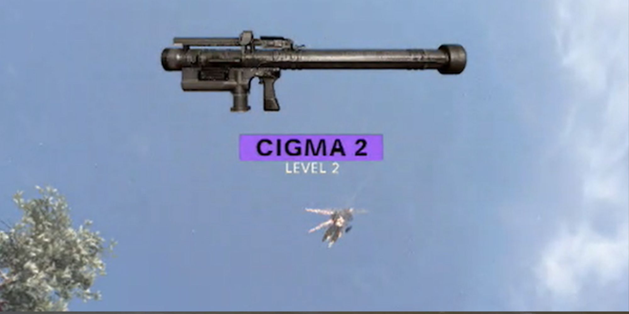 Call of Duty Black Ops Cold War Max Weapons.png