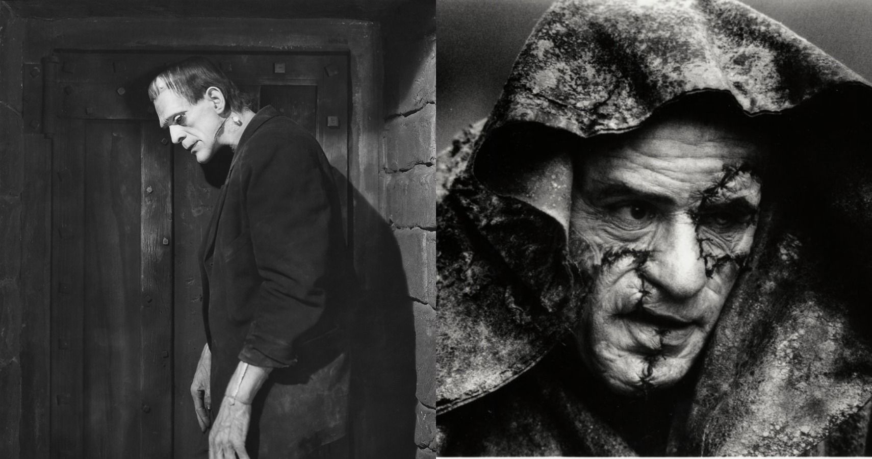 Frankenstein by Robert Horton