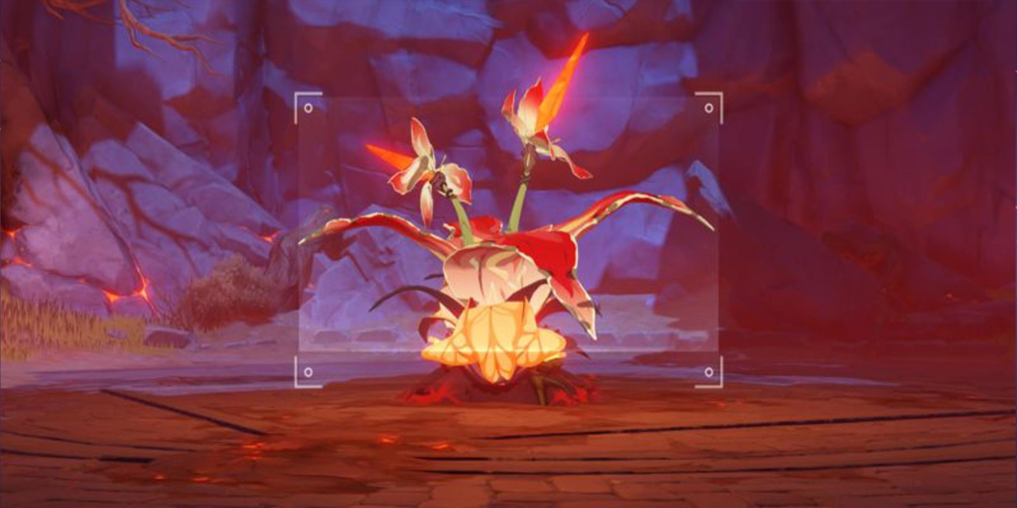 Genshin Impact Where to Get Red Creature Photos (Five Flushes of Fortune)