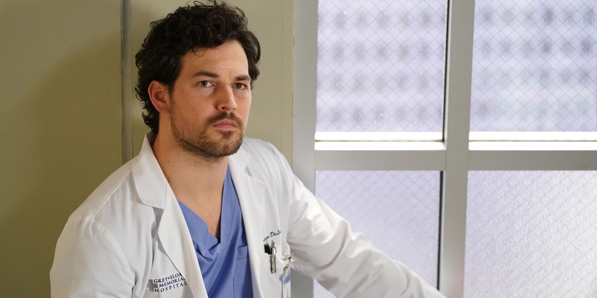 12 Most Painful Greys Anatomy Character Exits, Ranked