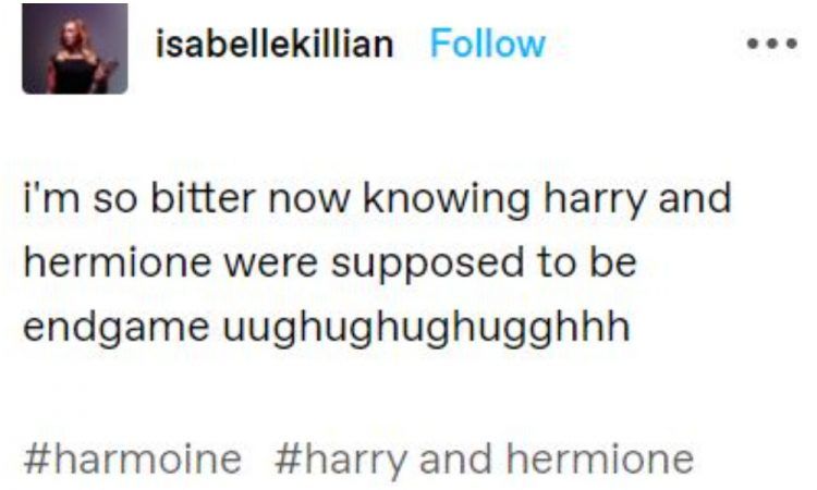 Harry and Hermione shipping meme