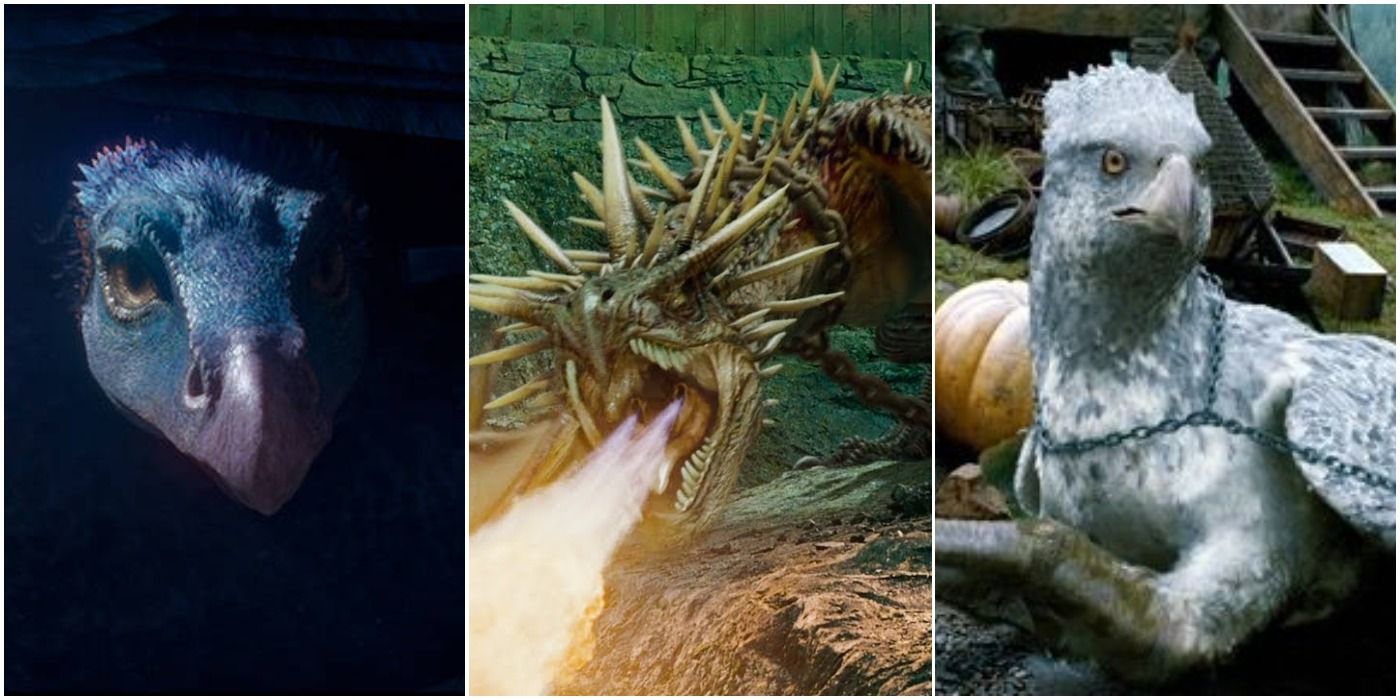 Harry Potter: 10 Things About Magical Creatures That Make No Sense