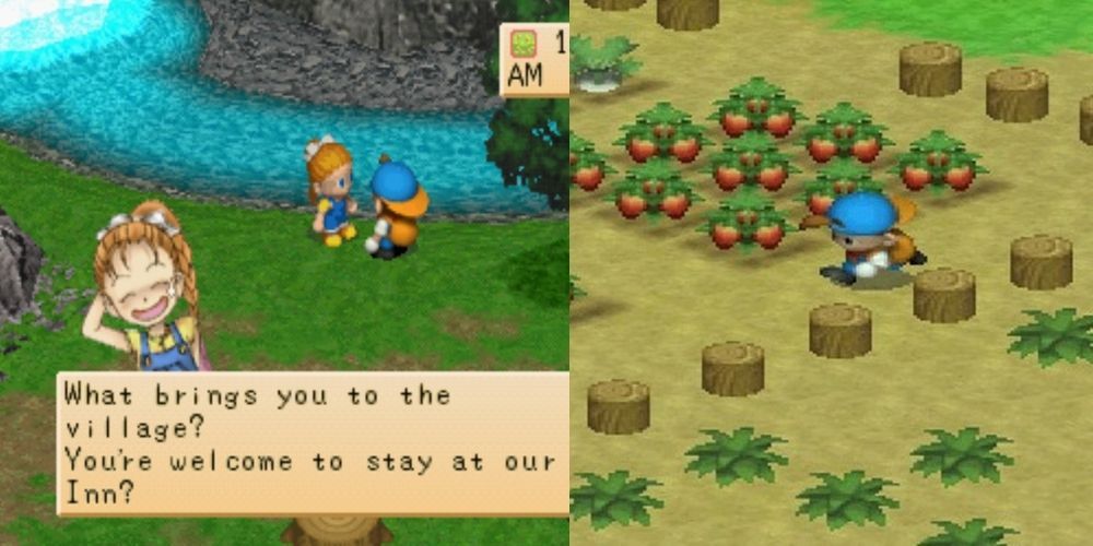 Harvest Moon Back to Nature for PlayStation
