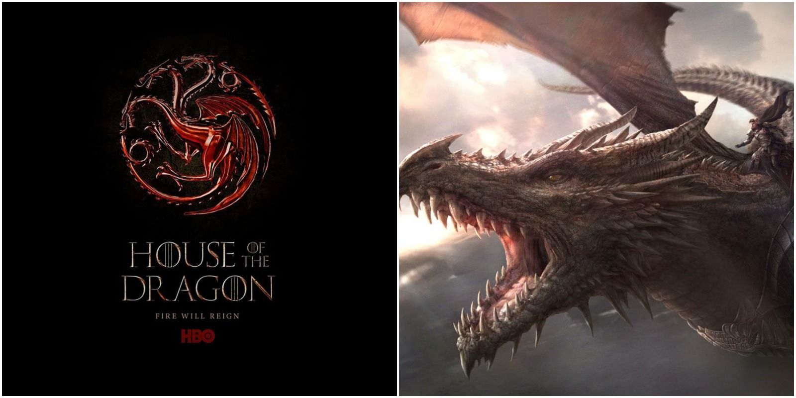House of the Dragon series for HBO and art of Balerion the Dread by Jordi Gonzalez Escamilla