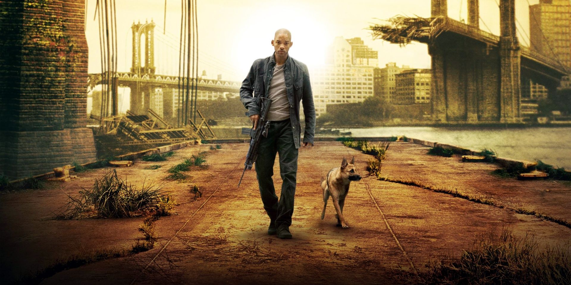 Robert Neville with his dog walking down a deolate road in I Am Legend.