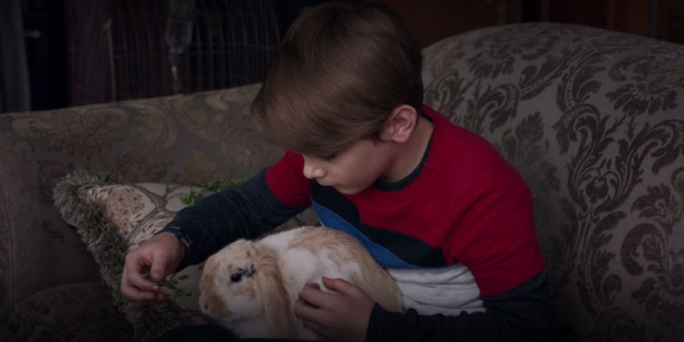 Billy pets Agatha's pet rabbit, Senor Scratchy, in WandaVision.