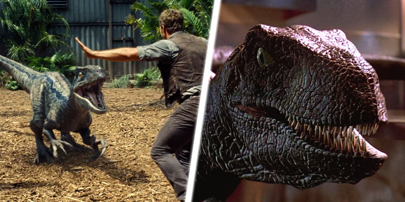 Jurassic Park/World: The 10 Best Scenes Featuring Velociraptors, Ranked