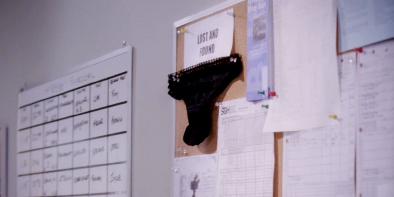 Meredith&rsquo;s Underwear Pinned To Board