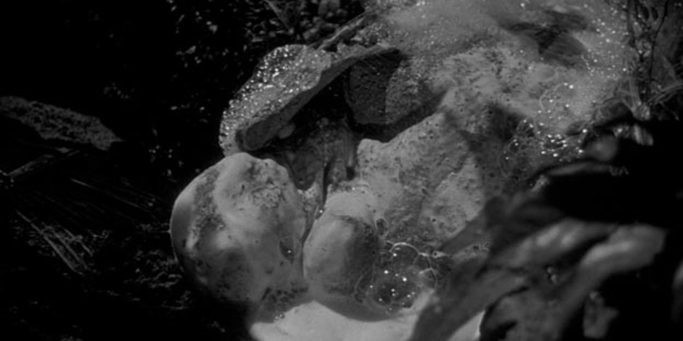 Pods in Invasion of the Body Snatchers (1956)