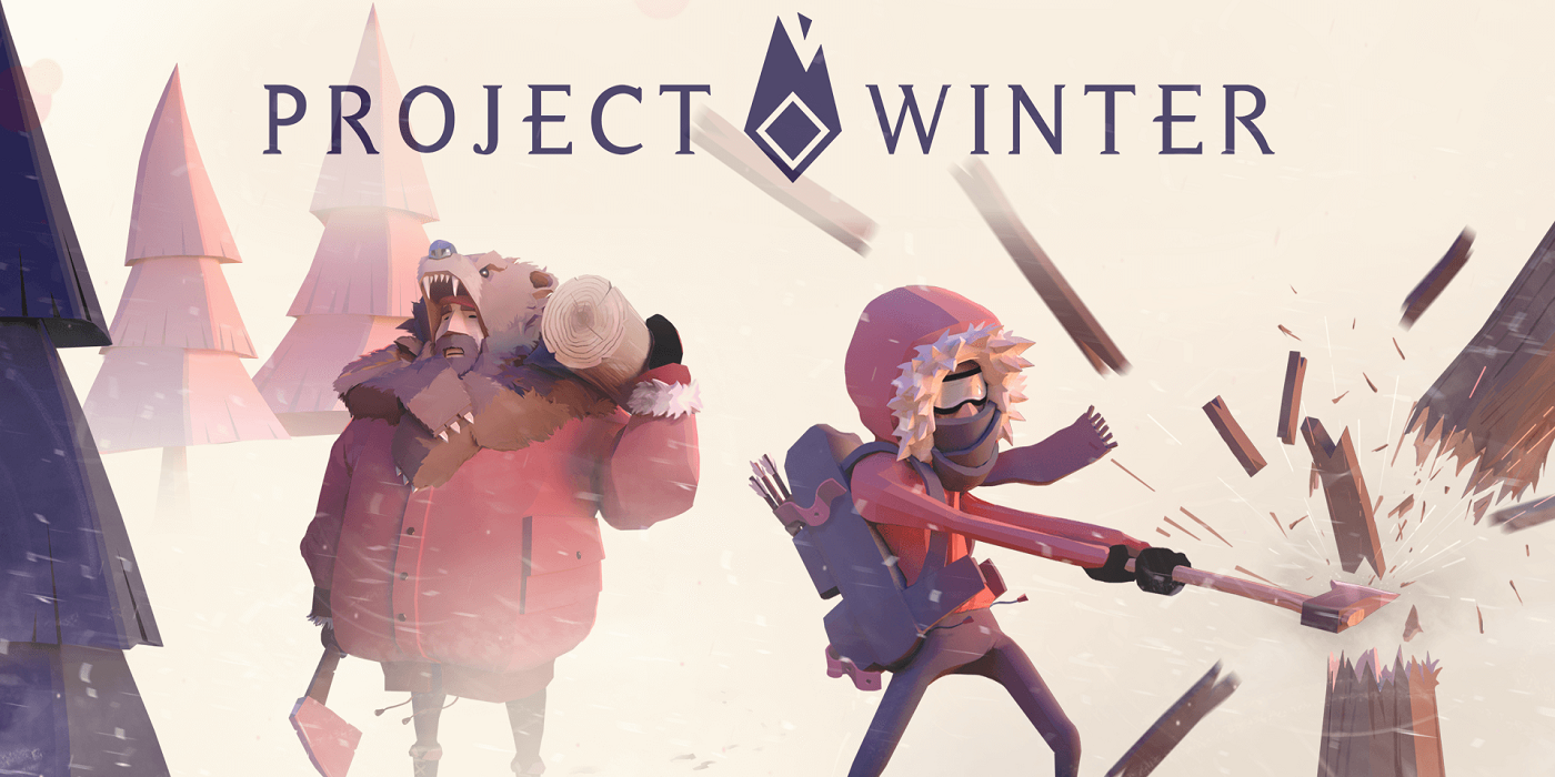 Project winter cover