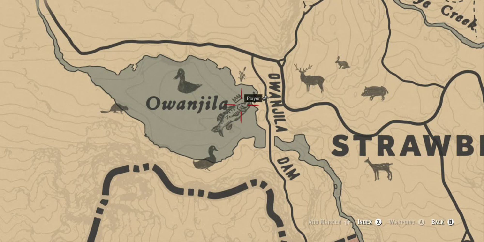 Where to Find The Legendary Night Beaver Location in Red Dead Online