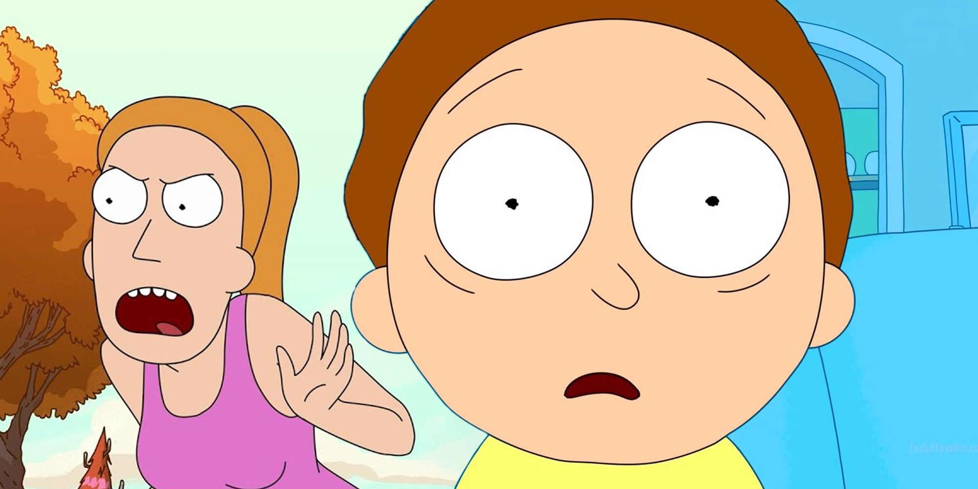 Rick & Morty: How Old Are Morty & Summer (& Do They Age)