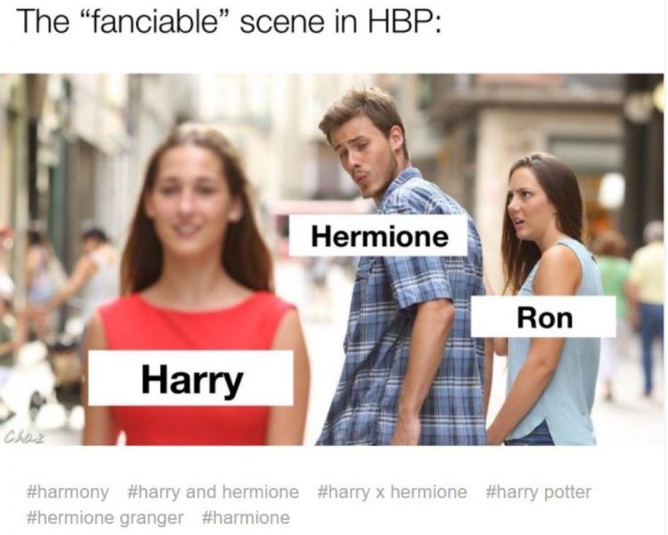 Harry and Hermione shipping meme