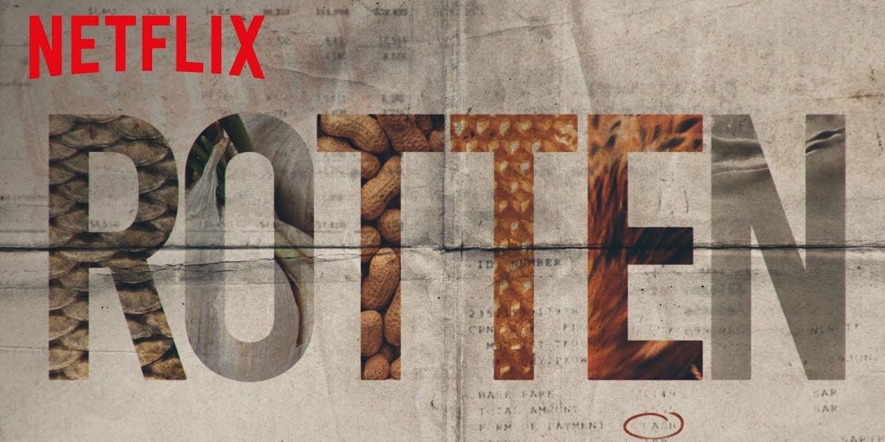 Title screen of Netflix's Rotten (words on canvas background)