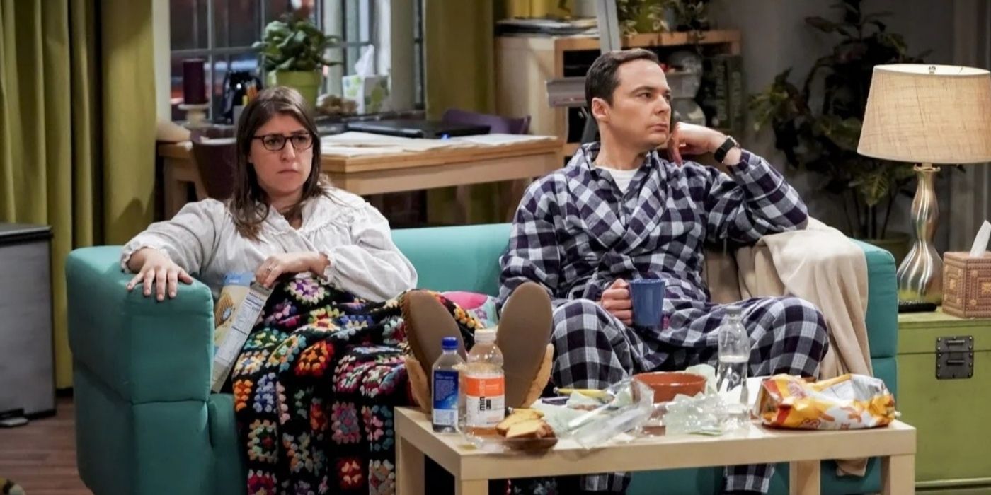 The Big Bang Theory 10 Saddest Episodes 8452