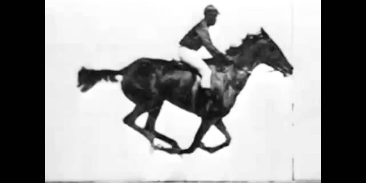 Still From Sallie Gardner At a Gallop (1878)