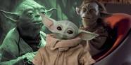 9 Questions About Grogu s Order 66 History Savior That Star Wars 9 Questions About Grogu s Order 66 History Savior That Star Wars