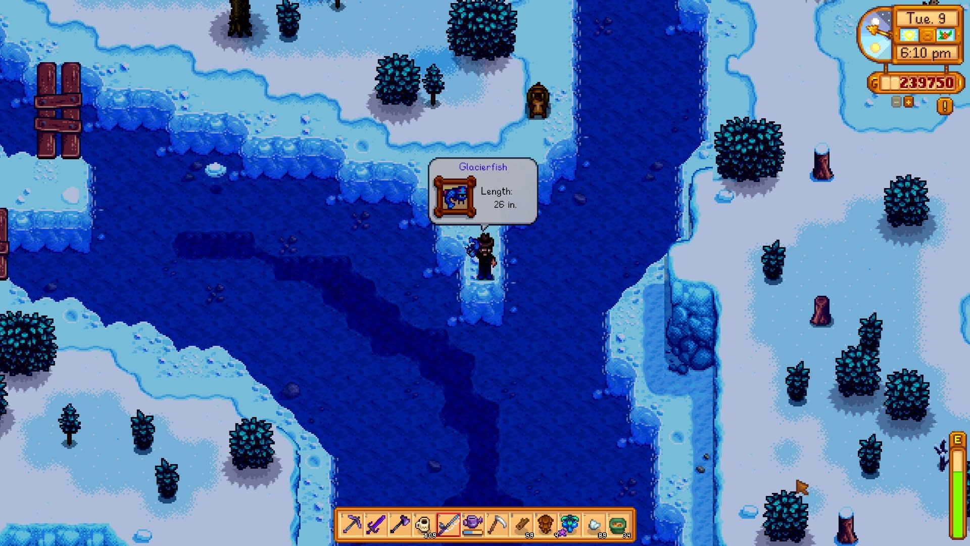 Stardew Valleys Legendary Fish (& Where They Are Caught)