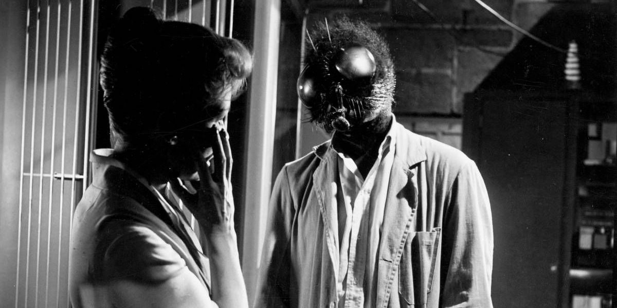 A still from The Fly (1958)