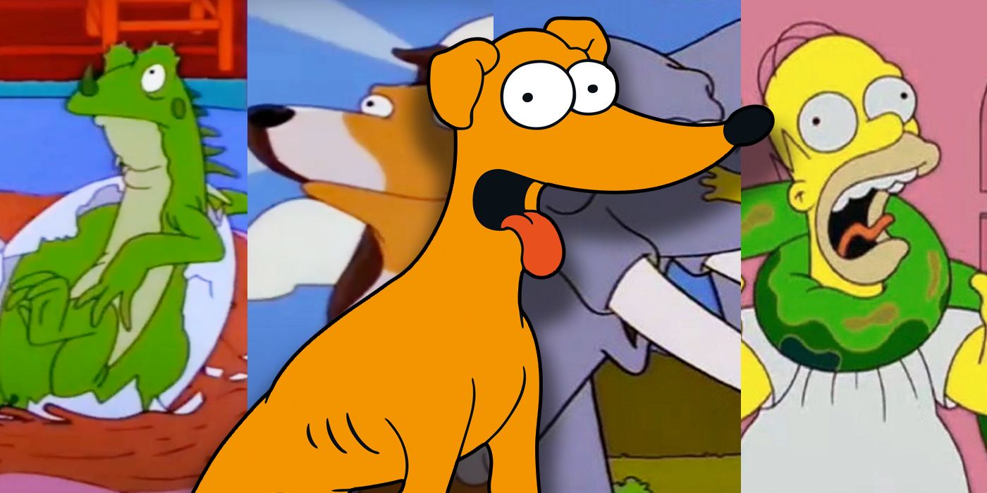 The Simpsons: All 23 Simpson Family Pets Explained