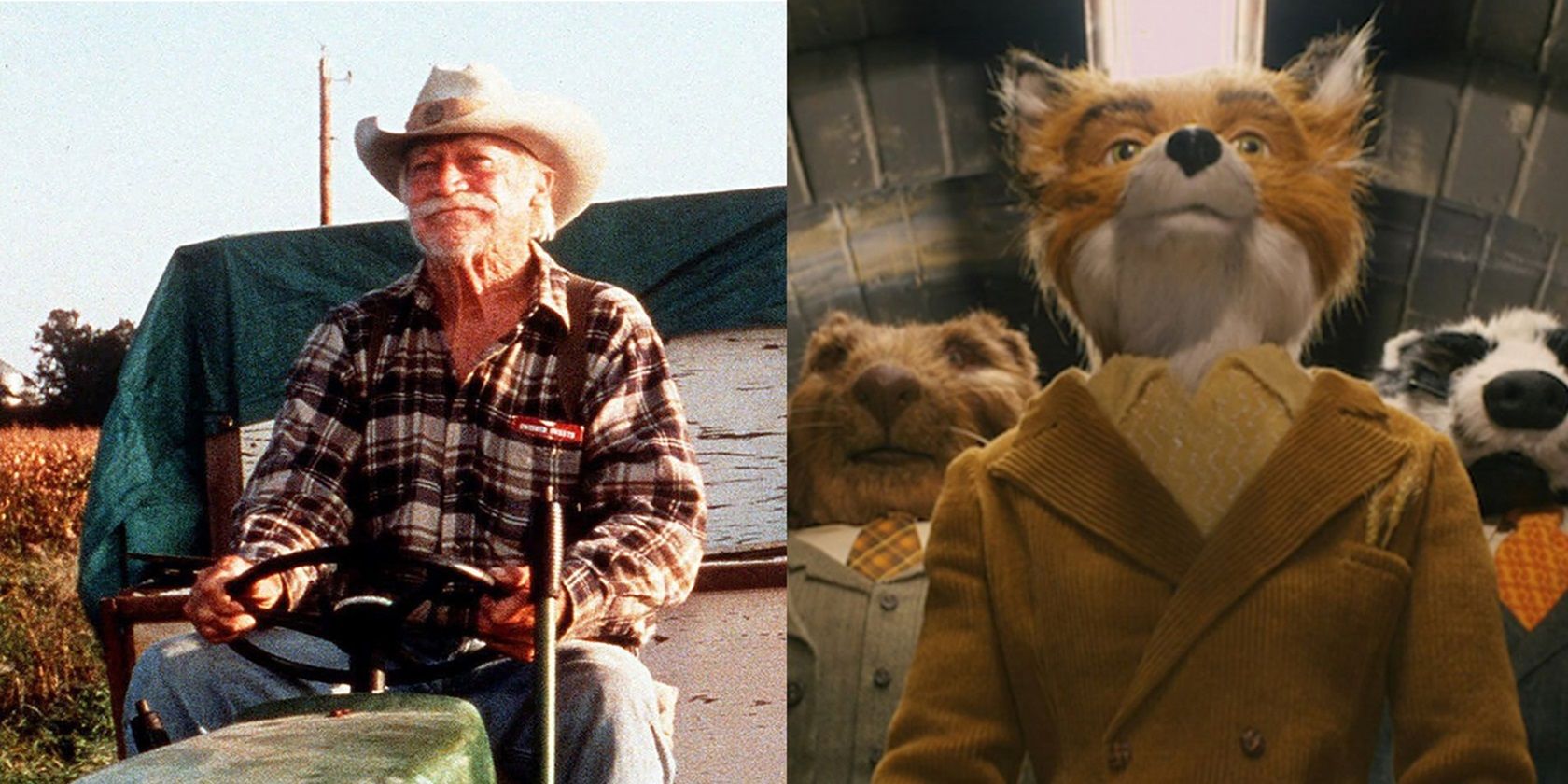 The Straight Story and Fantastic Mr Fox