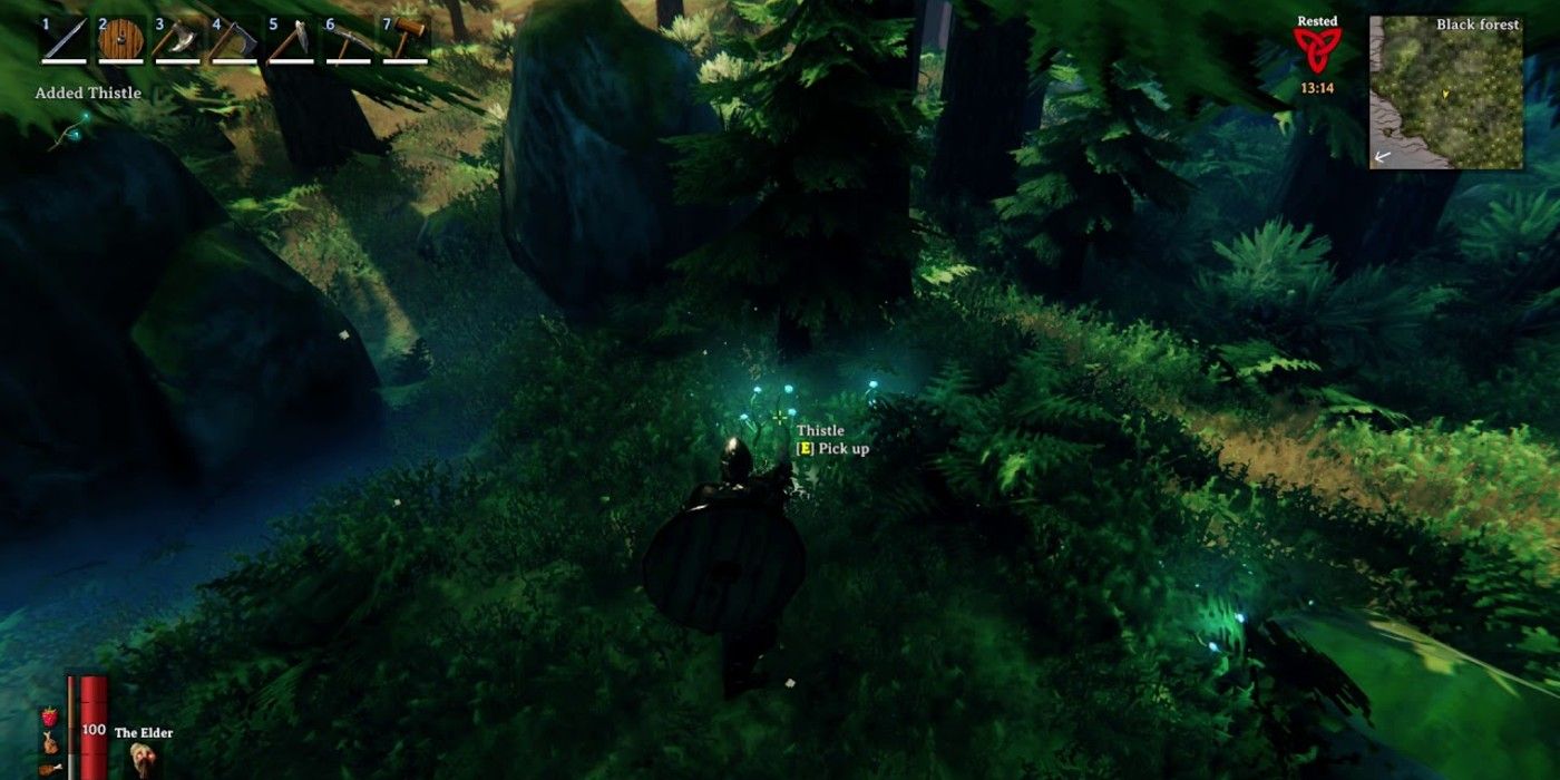 Un jugador encuentra a Thistle en la Selva Negra en Valheim.
