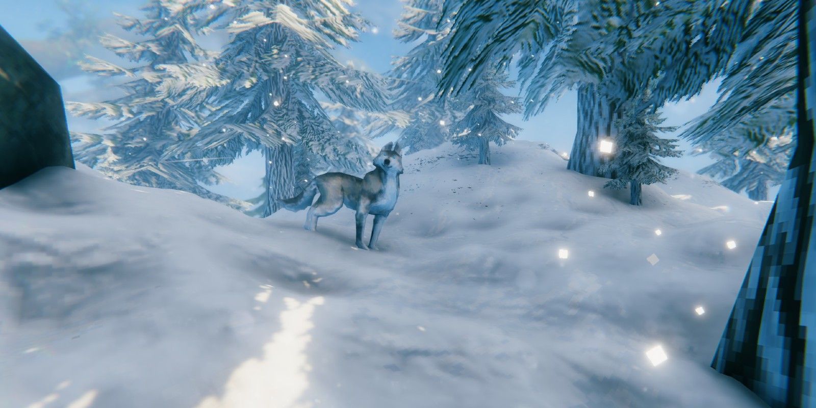 A Wolf stands at attention in the Mountain Biome of Valheim
