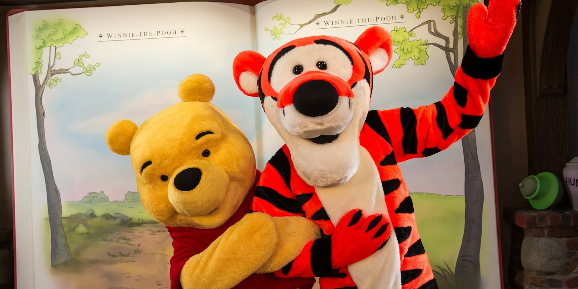 Bear and tiger hanging out