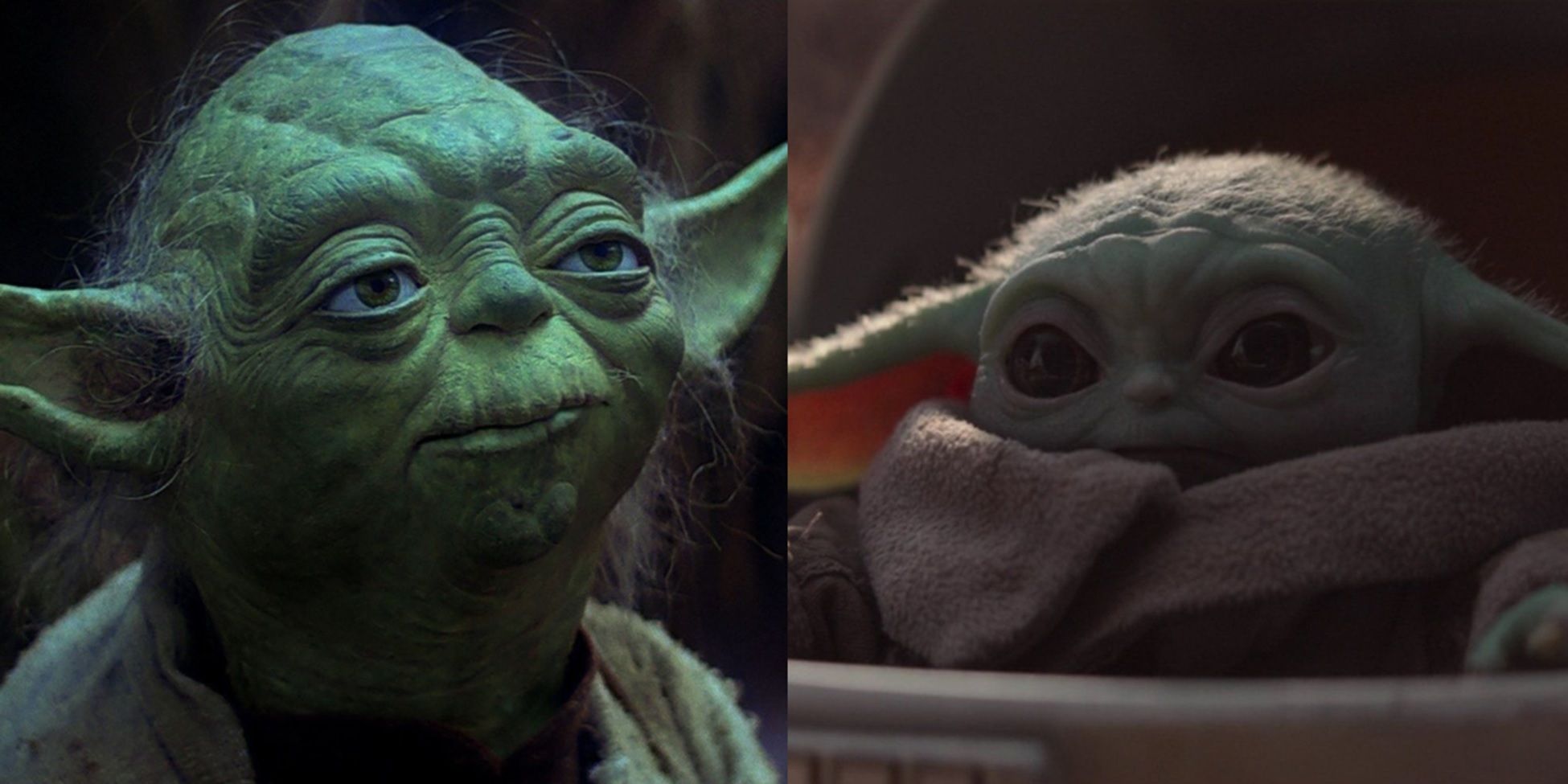 Yoda and Grogu
