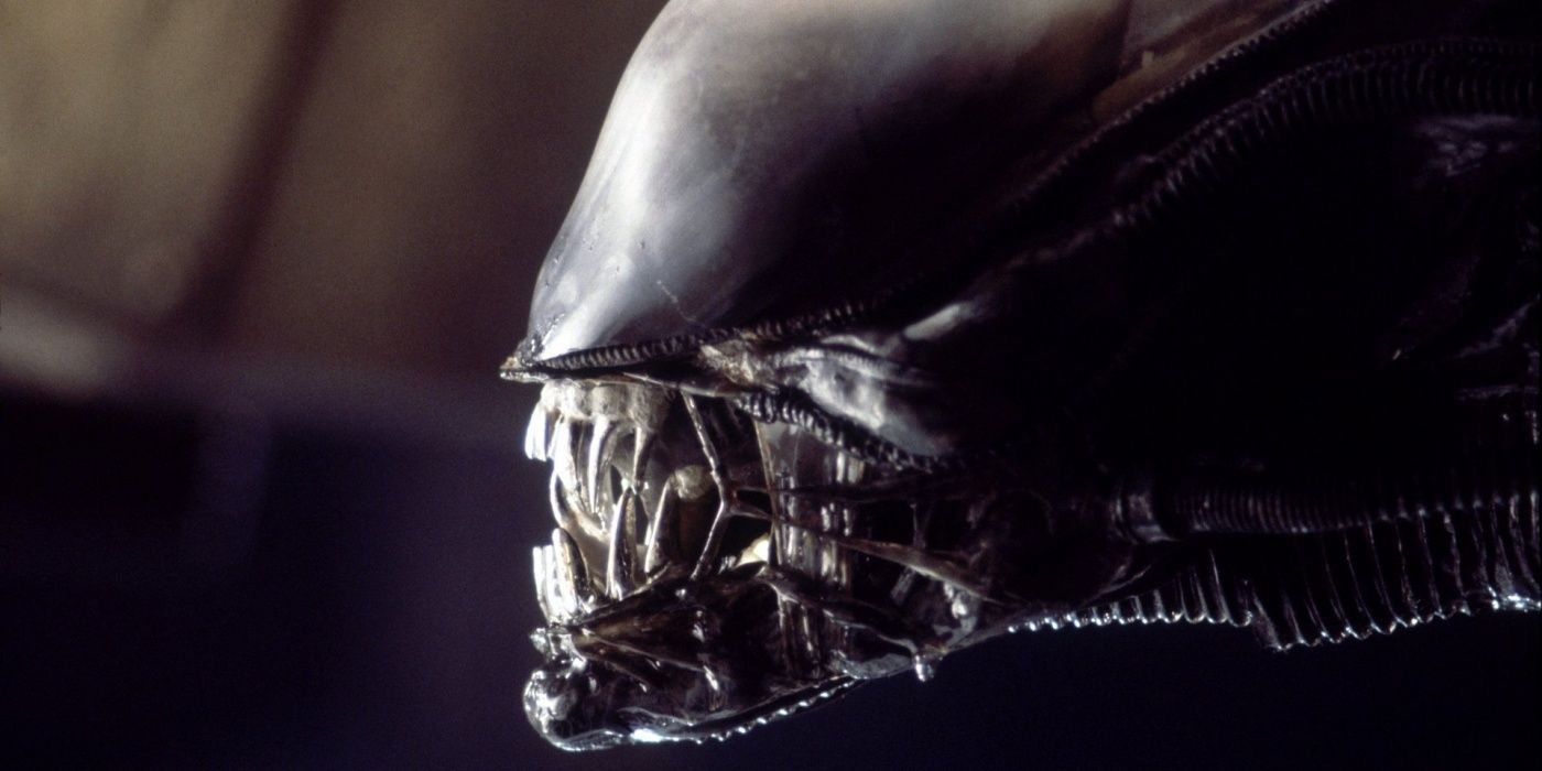 A close up of the Xenomorph in Alien