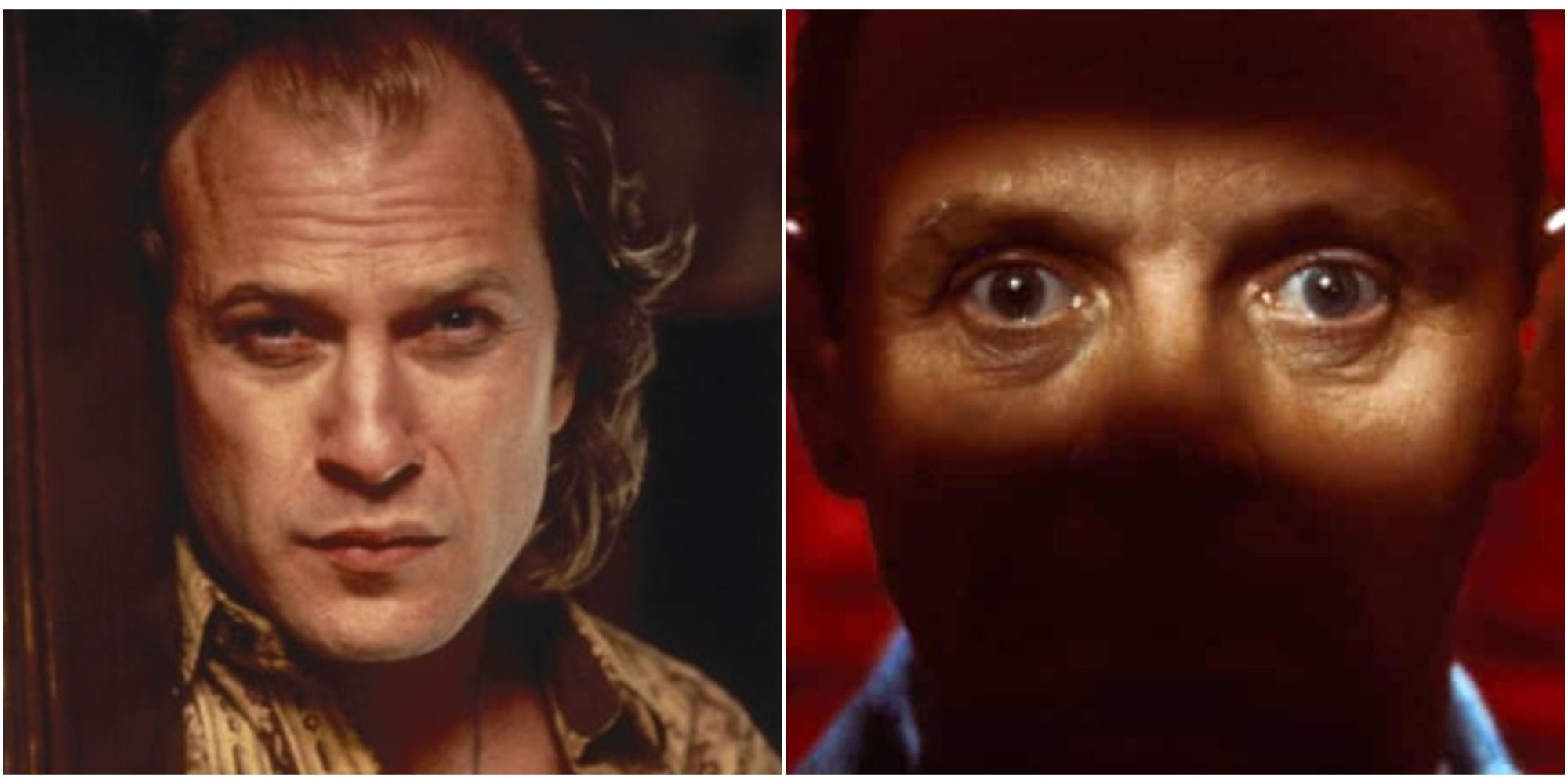 Silence Of The Lambs: 5 Reasons Why Bill Was The Scariest Villain (& 5 Why It's Hannibal Lecter)