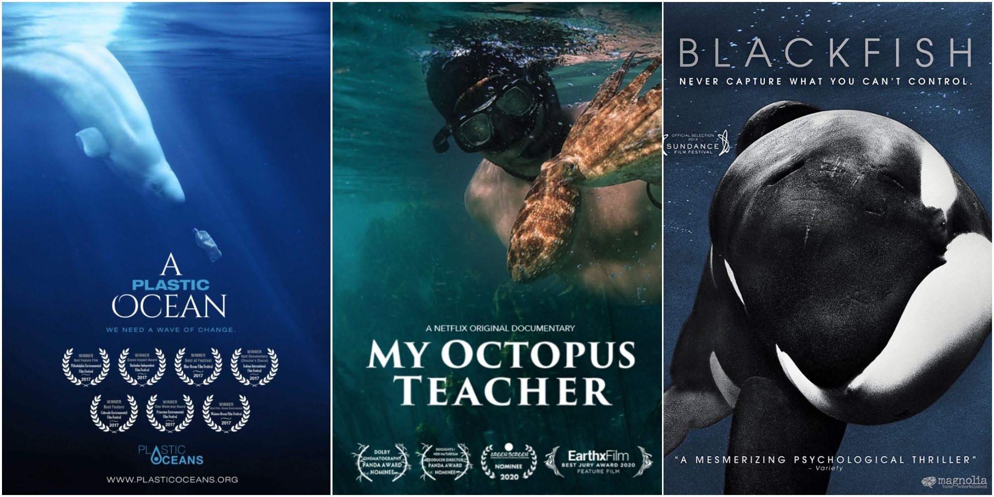 Three movie posters: Blackfish, My Octopus Teacher & Plastic Ocean